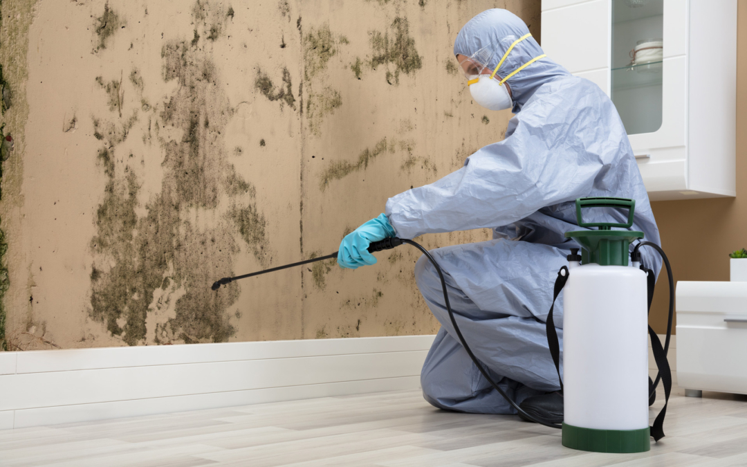 Schimmel verwijderen Groot Ammers